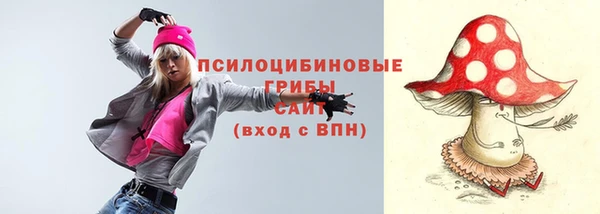 прущий лед Вязники